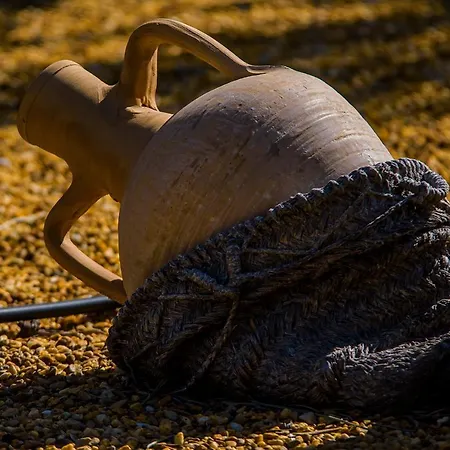 Cortijo 4 Elementos Bed and Breakfast