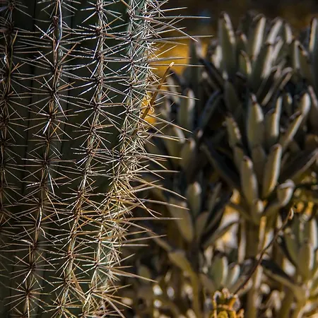 Cortijo 4 Elementos Lucainena de las Torres